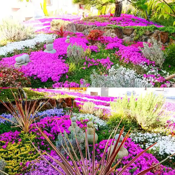 寿量山 速成寺の自然