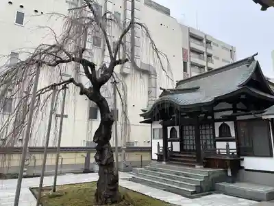 蓮香院(宮城県)