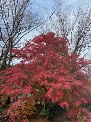 高尾山薬王院の景色