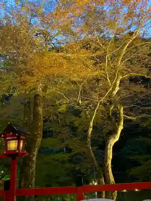 貴船神社(京都府)