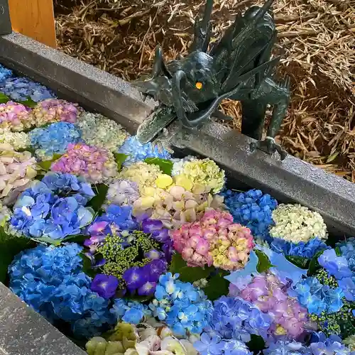 下野 星宮神社の手水舎