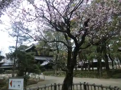 聖福寺(福岡県)