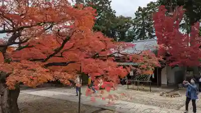 真正極楽寺(真如堂)(京都府)