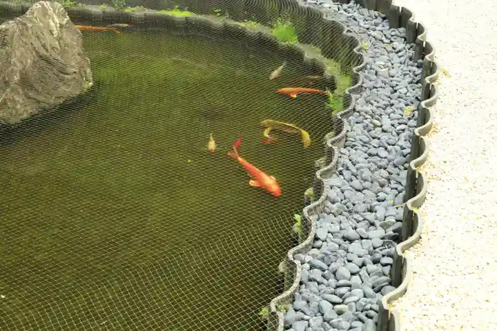 報国寺(神奈川県)