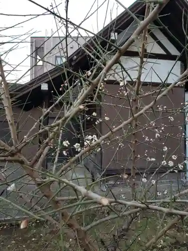 第六天神社の自然