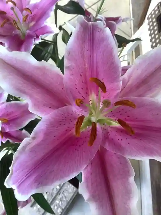 清洲山王宮 日吉神社の庭園