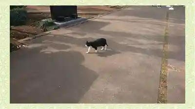 馬場氷川神社(埼玉県)
