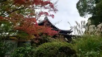 南禅寺の{uncategorized: "未分類", other: "その他", undefined: "問題あり", building: "その他建物", grave: "お墓", sacred_gate: "鳥居", guardian: "狛犬", statue: "像", buddha: "仏像", history: "歴史", nature: "自然", garden: "庭園", animal: "動物", pagoda: "塔", temizu: "手水舎", mountain_gate: "山門・神門", sanctuary: "本殿・本堂", subordinate: "末社・摂社", art: "芸術", scenery: "景色", jizo: "地蔵", ema: "絵馬", goshuin: "御朱印", omikuji: "おみくじ", items: "授与品その他", amulet: "お守り", goshuincho: "御朱印帳", eats: "食事", festival: "お祭り", votive_dance: "神楽", shichigosan: "七五三参", wedding: "結婚式", experience: "体験その他", initially: "初詣", around: "周辺", anti_infection: "感染症対策"}