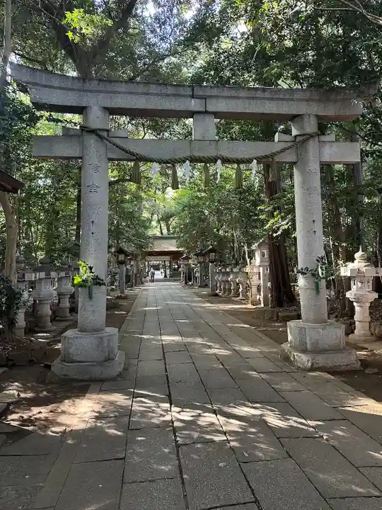駒木諏訪神社(千葉県)