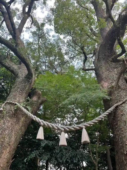 大津日吉神社(熊本県)