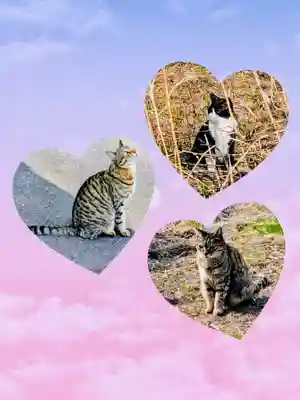 七百餘所神社 の動物