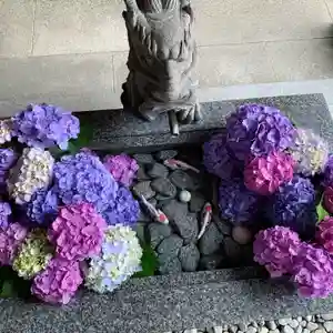 滑川神社 - 仕事と子どもの守り神の手水舎(2024年07月12日(金) 14時06分02秒投稿)