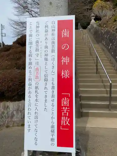 白山神社の歴史
