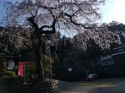 日蓮宗 総本山 塔頭 定林坊(じょうりんぼう)(山梨県)