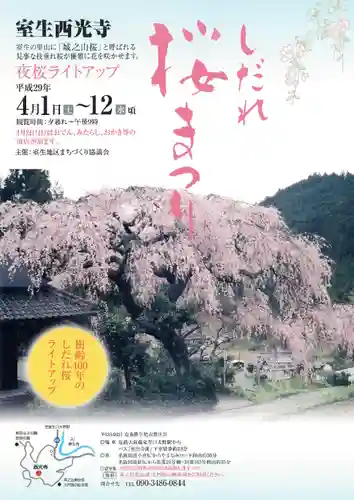 西光寺のその他建物