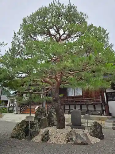 慈恩護国禅寺(岐阜県)