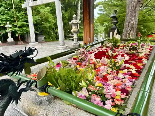 住吉神社(北海道)