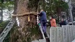 白山神社の自然