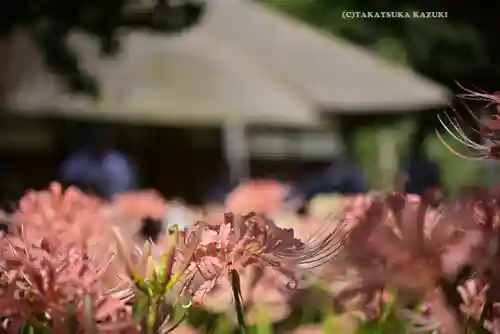 横浜　西方寺(神奈川県)