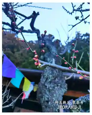 【公式】龍門院常楽寺（秩父札所十一番）(埼玉県)