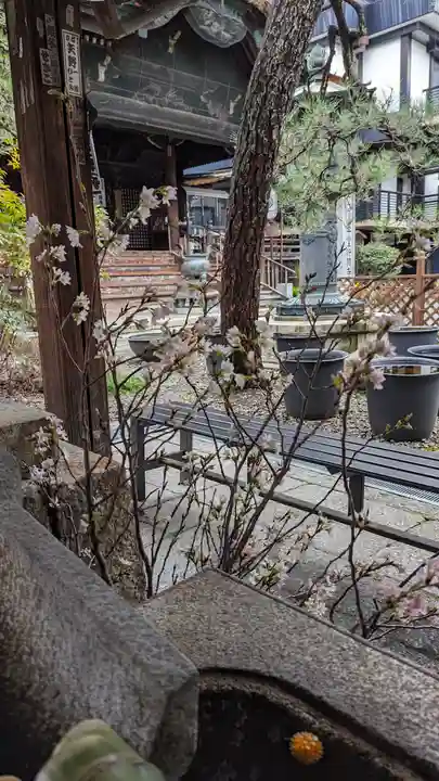 行願寺(革堂)(京都府)