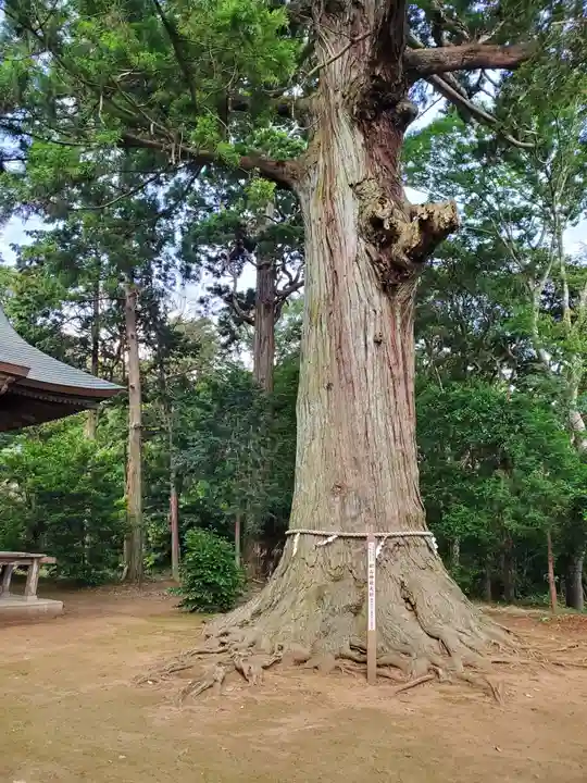 松山神社(千葉県)