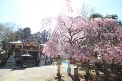 天龍寺(埼玉県)