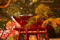 本土寺(千葉県)