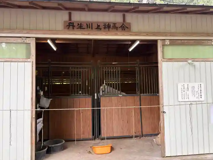 丹生川上神社(下社)(奈良県)