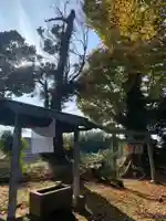 天満宮(千葉県)