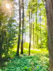 楯縫神社の自然