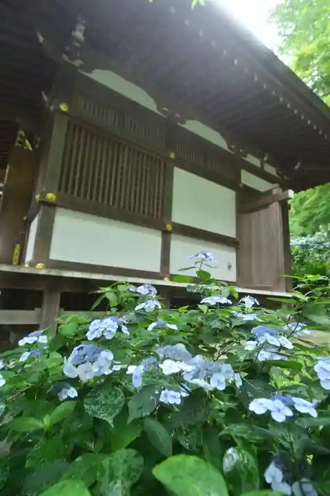 高幡不動尊 金剛寺(東京都)