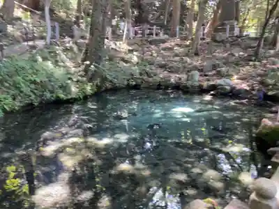 泉神社(茨城県)