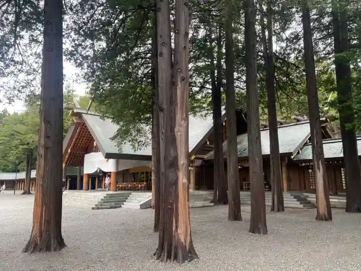 北海道神宮(北海道)