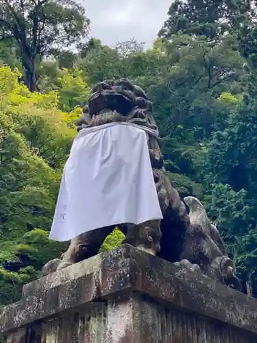 本瀧寺の狛犬