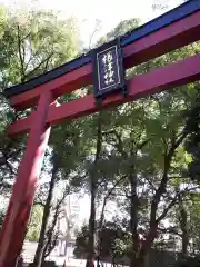 根津神社の鳥居