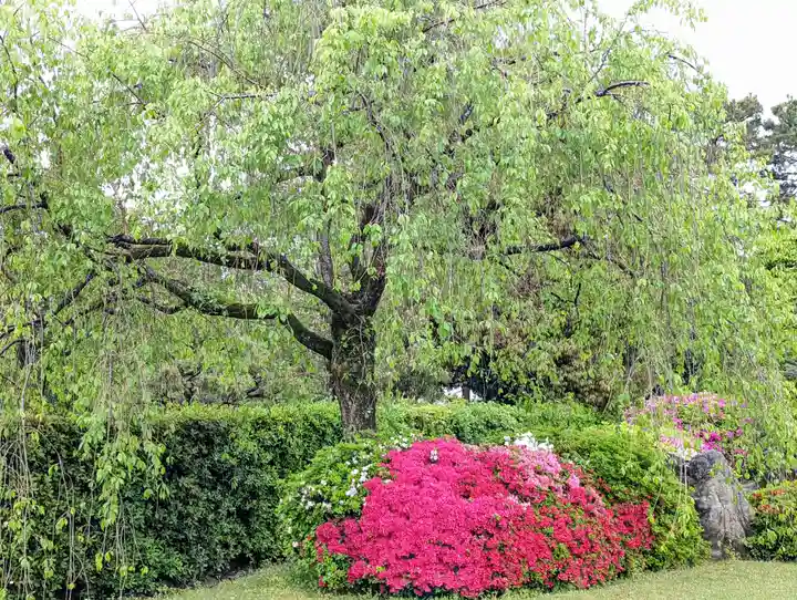 城南宮(京都府)