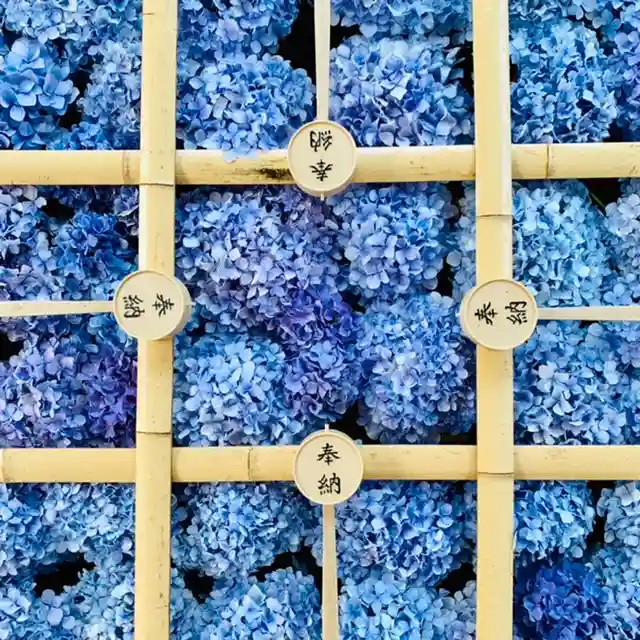 土津神社|こどもと出世の神さまの手水舎