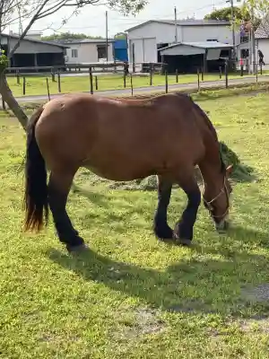 大楽毛神社(北海道)