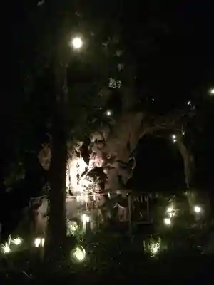 來宮神社のその他建物