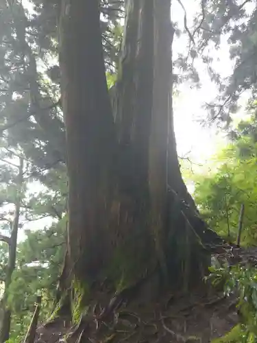 玉置神社の御朱印