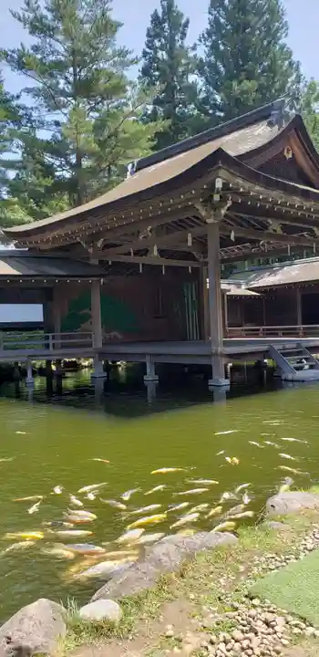 身曾岐神社の動物