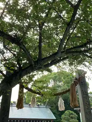 伊勢山皇大神宮の山門・神門
