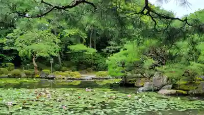 平安神宮(京都府)
