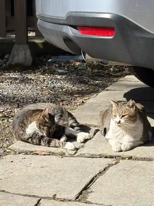 阿邪訶根神社(福島県)