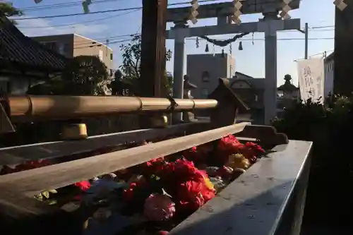 豊景神社の鳥居