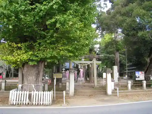 八坂神社(千葉県)