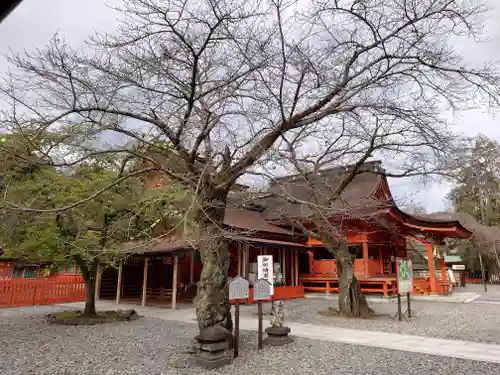 富士山本宮浅間大社の本殿