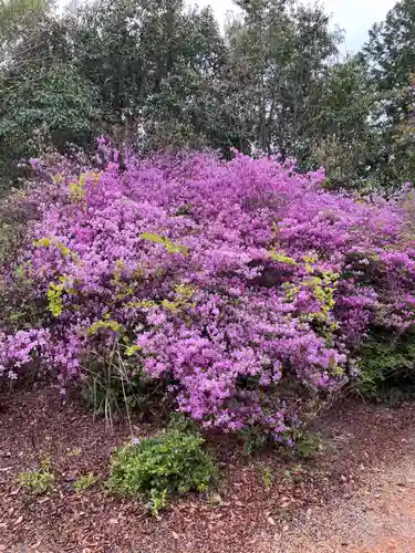 貴船神社の自然