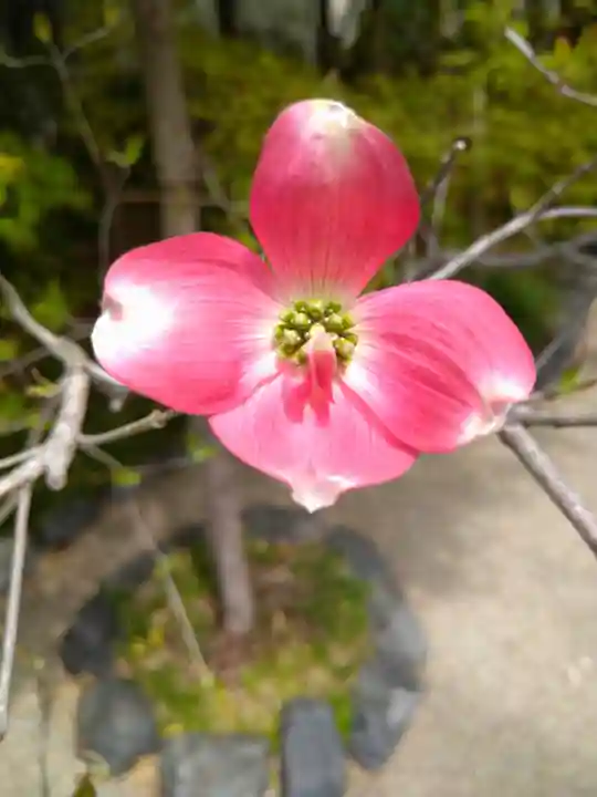 晴明神社(京都府)